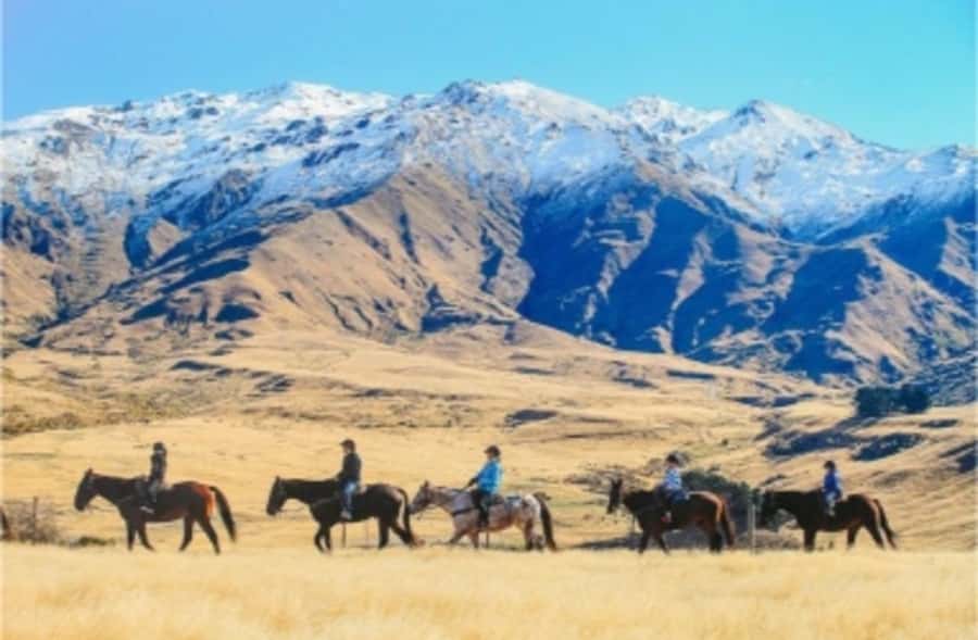 Cardrona Valley: Horse Trekking Experience - Practical Tips Before You Go