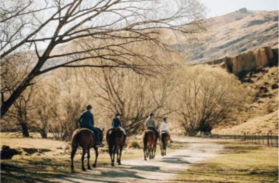 Cardrona Valley: Horse Trekking Experience - The Meeting Point at the Bra Fence
