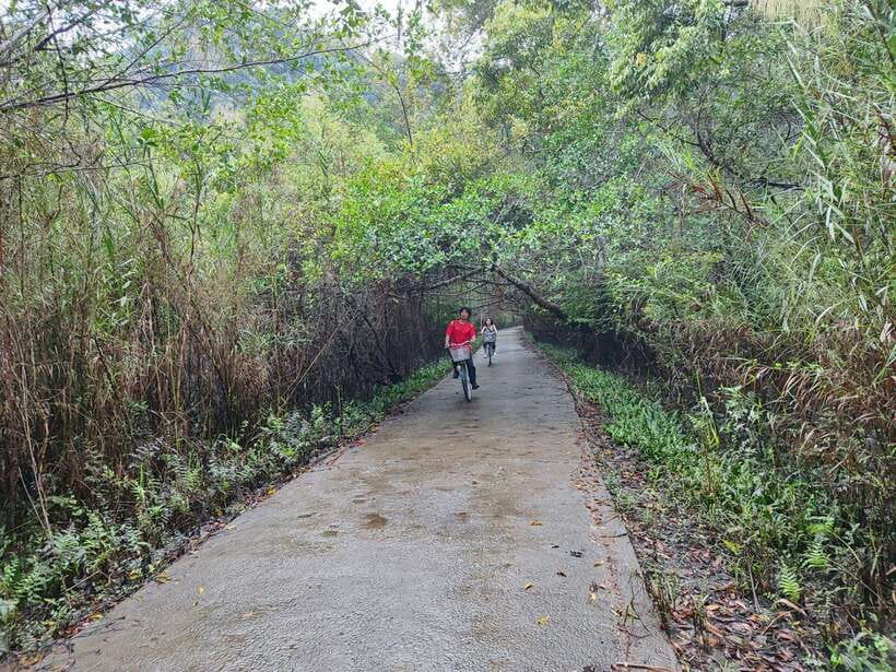 Cat Ba National Park Full Day Guide Tour Trekking & Kayaking - What This Cat Ba Day Tour Is Really Like