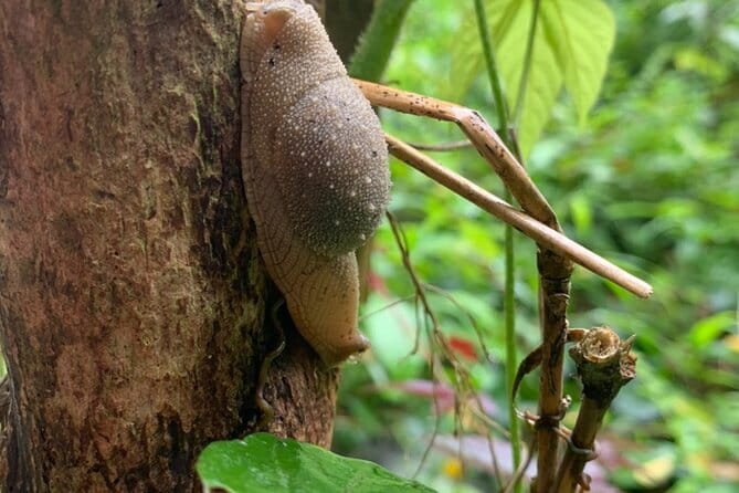 Cat Ba National Park Full Day Trekking Tour to Viet Hai Village - Why this Cat Ba day trip works