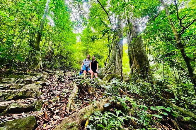 Cat Ba National Park Full Day Trekking Tour to Viet Hai Village - Price, group size, and the tour’s real value