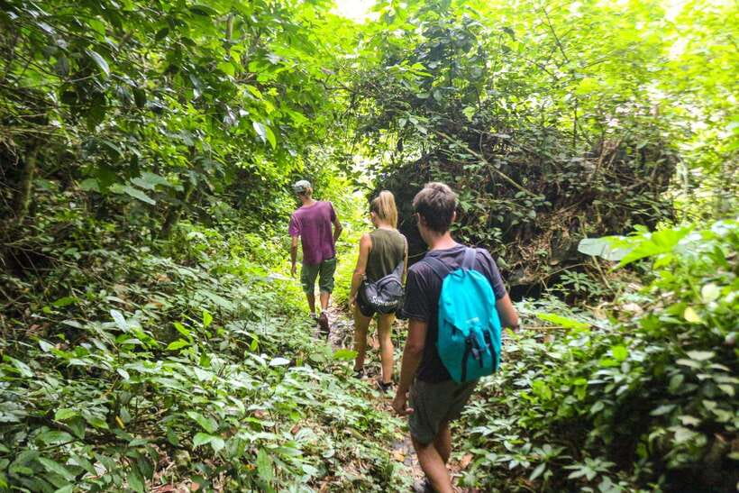 Cat Ba: National Park Trek, Village Visit and Kayak Day Tour - What the $66 price really covers