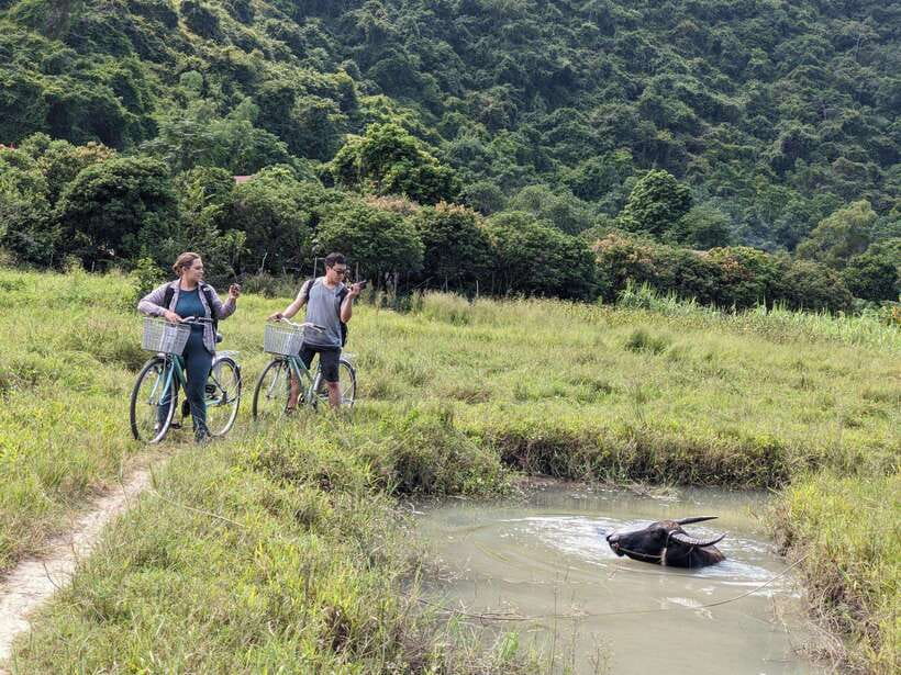 Cat Ba National Park Trekking & Ancient Village Biking - Key points at a glance