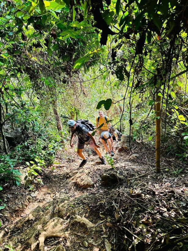 Cat Ba National Park Trekking & Ancient Village Biking - The 2.5-hour hike to Frog Lake