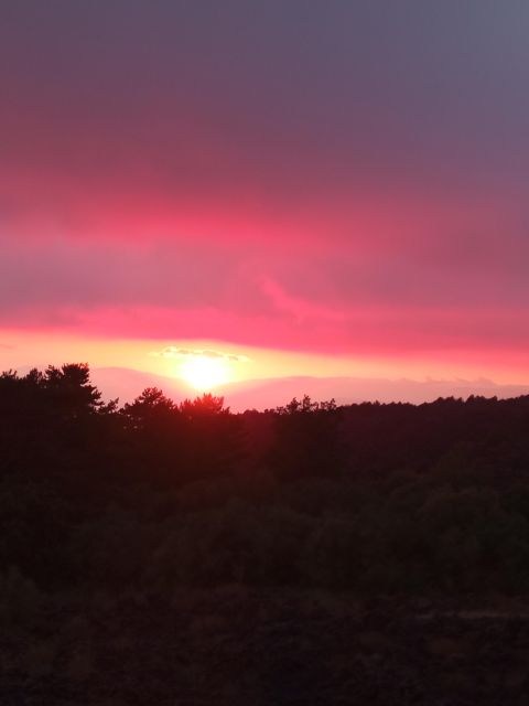 Catania: Mount Etna Sunset Trekking with Wine Tasting - Should you book it?