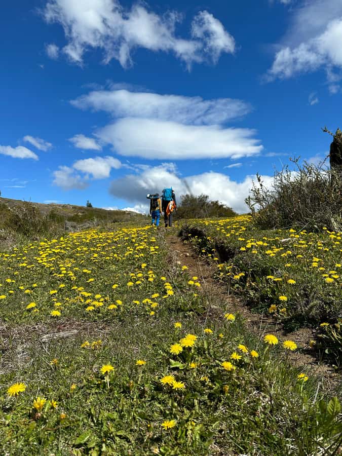Cerro Castillo: Patagonia Mountain Trekking to the Lagoon - Who should book this hike?