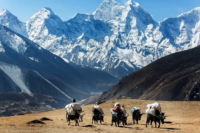 Cheapest Everest Base Camp Trek from Kathmandu - Day 9: Kala Patthar at sunrise, then down to Pheriche