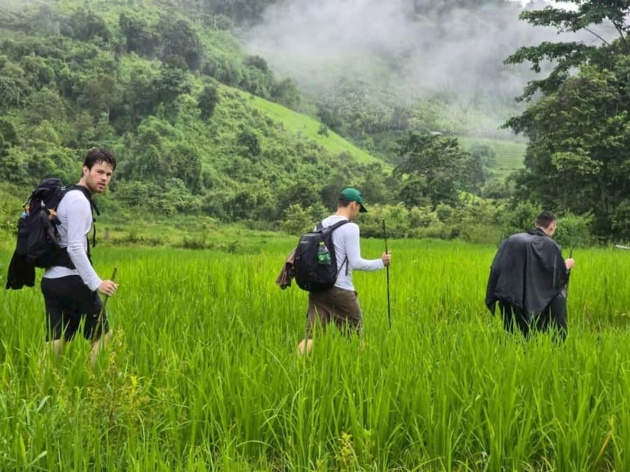 Chiang Mai: 1-Day Trekking Experience to Village & Waterfall - Waterfalls, swimming, and a picnic lunch