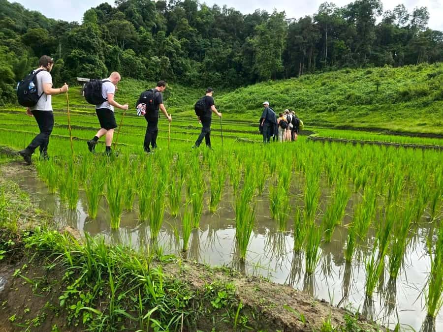 Chiang Mai: 1-Day Trekking Experience to Village & Waterfall - The real value of $61