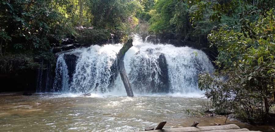 Chiang Mai: 2-Day Jungle Trek with Elephant Farm & Raft Ride - What the guides add to the experience
