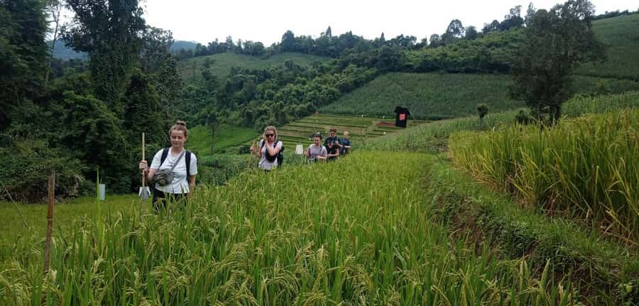 Chiang Mai: 2-Day Jungle Trek with Elephant Farm & Raft Ride - A quiet 40-minute ride on the Mae Wang River