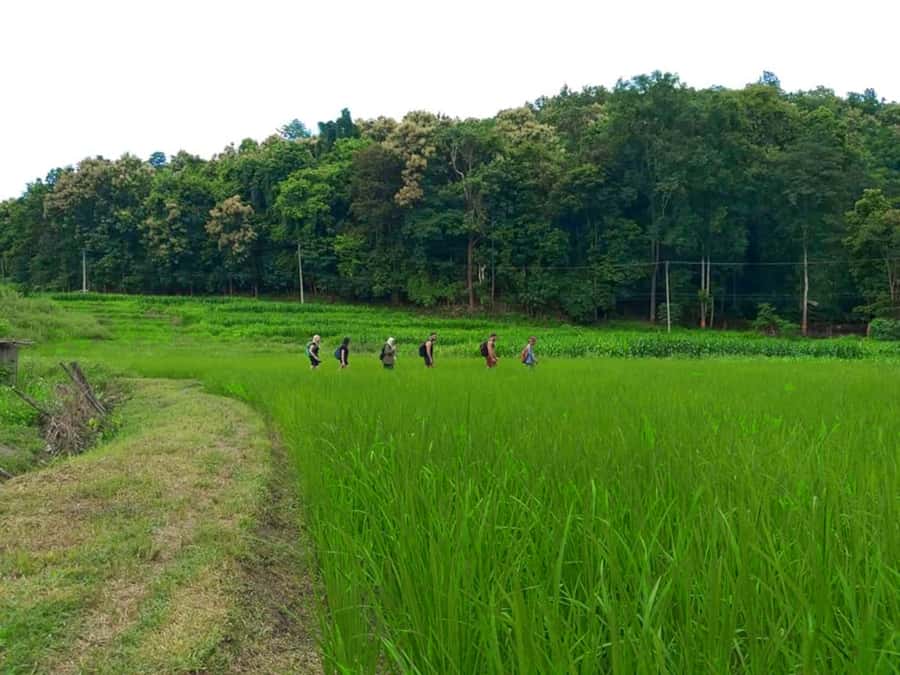 Chiang Mai: 2-Day Jungle Trek with Elephant Farm & Raft Ride - The uphill push to the Karen village