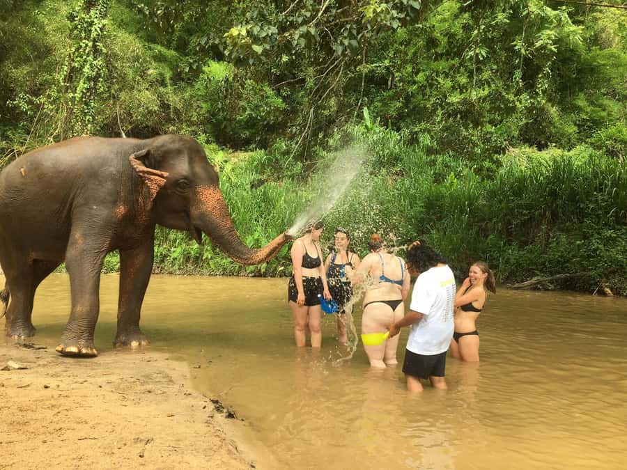 Chiang Mai: 2-Day Jungle Trek with Elephant Farm & Raft Ride - Starting at the local market
