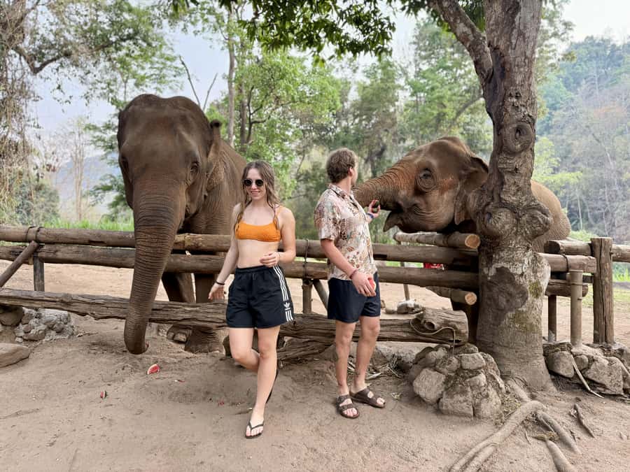 Chiang Mai 2-Day: Trekking, Tubing & Elephant Observation - What the $102 price really includes