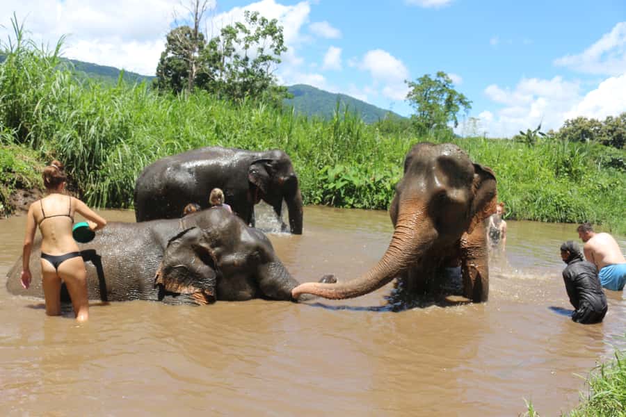 Chiang Mai: 2 Days, 1 Night Non-Tourist Trek - Cooking, lanterns, and the Karen family stay