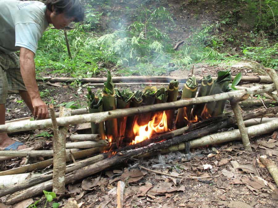 Chiang Mai: 2 Days, 1 Night Non-Tourist Trek - The 7:00 to 7:30 pickup and rough mountain road