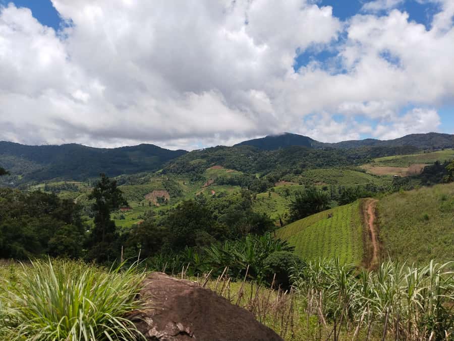 Chiang Mai: 2-Days Chiang Mai Amazing Trek - Finding quiet at Wat Pha Lat