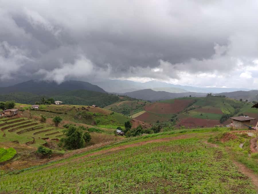 Chiang Mai: 2-Days Chiang Mai Amazing Trek - A market stop and a local lunch