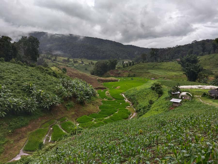 Chiang Mai: 2-Days Chiang Mai Amazing Trek - Walking through forest, farms, and waterfalls