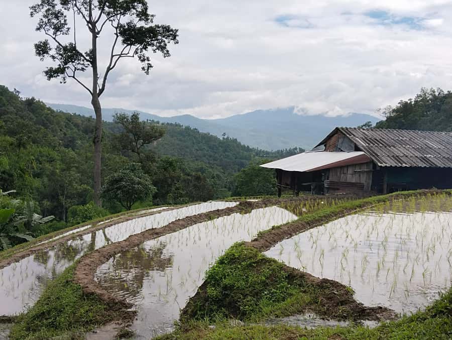 Chiang Mai: 2-Days Chiang Mai Amazing Trek - Spending the night in a Karen hill tribe village
