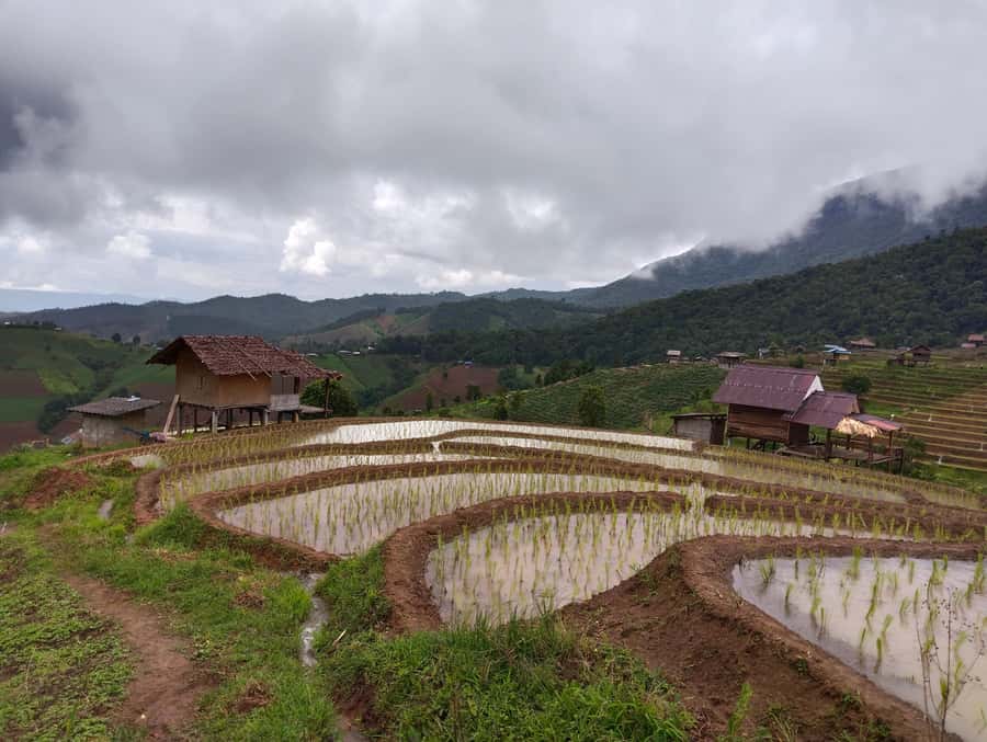 Chiang Mai: 2-Days Chiang Mai Amazing Trek - What $108 includes, and what it does not