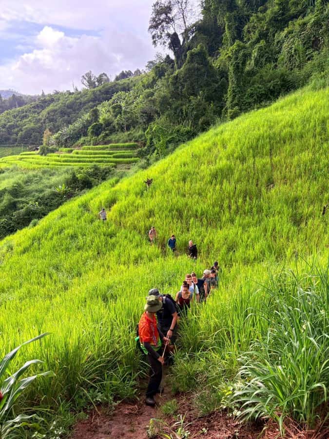 Chiang Mai: 2-Days Jungle Trek, Waterfalls and Karen Village - Day Two: Jungle Wildlife, Another Village, and a Final Swim