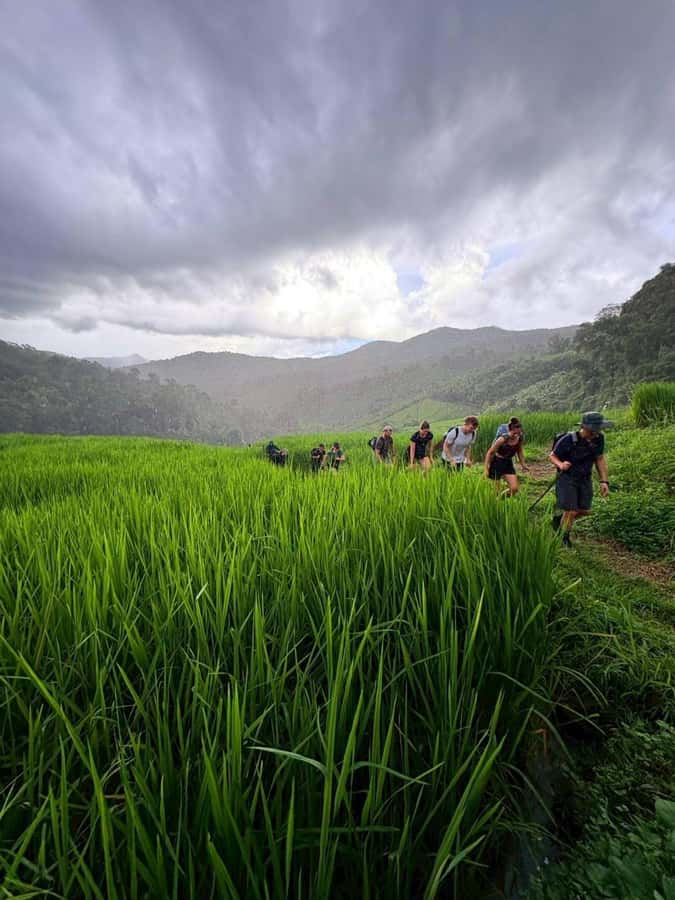 Chiang Mai: 2-Days Jungle Trek, Waterfalls and Karen Village - FAQ