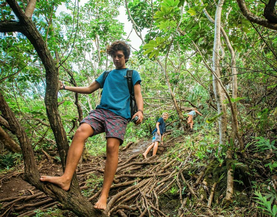 Chiang Mai: 3-Day Karen Hill Tribe Immersion with Trekking - Key points at a glance