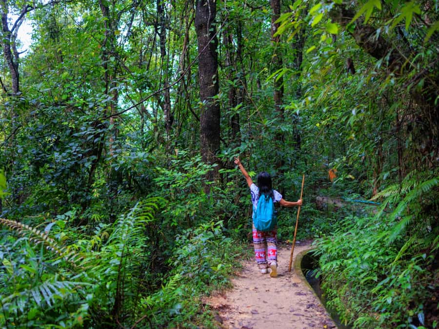Chiang Mai: 3-Day Karen Hill Tribe Immersion with Trekking - Why this Karen trek feels different
