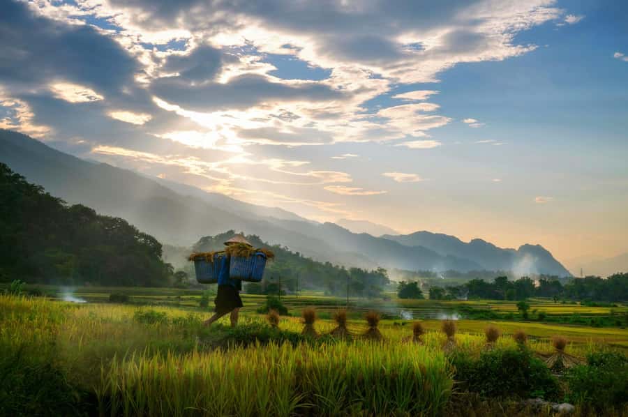 Chiang Mai: 3-Day Karen Hill Tribe Immersion with Trekking - Day 2: Three hours to a village, then deeper into the hills