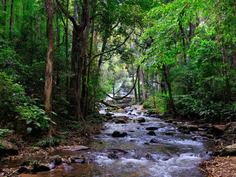 Chiang Mai: 3-Day Karen Hill Tribe Immersion with Trekking - Pack for walking, swimming, and cold showers