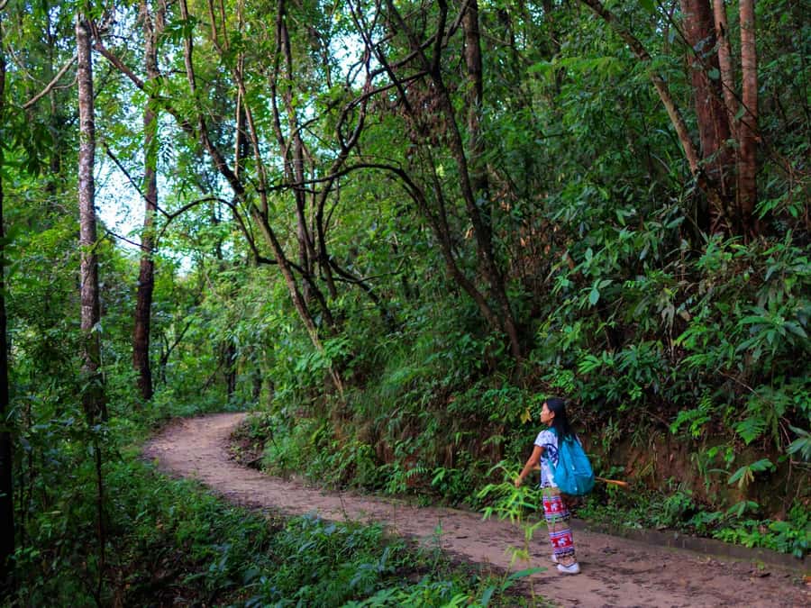 Chiang Mai: 3-Day Karen Hill Tribe Immersion with Trekking - How difficult is the trekking?