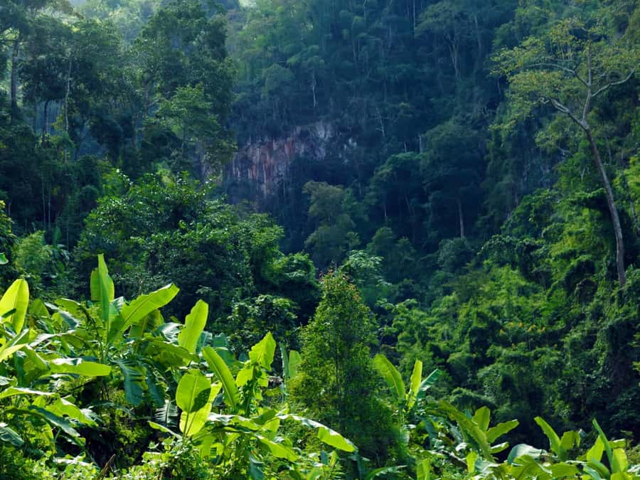 Chiang Mai: 3-Day Karen Hill Tribe Immersion with Trekking - The guides make or break the experience