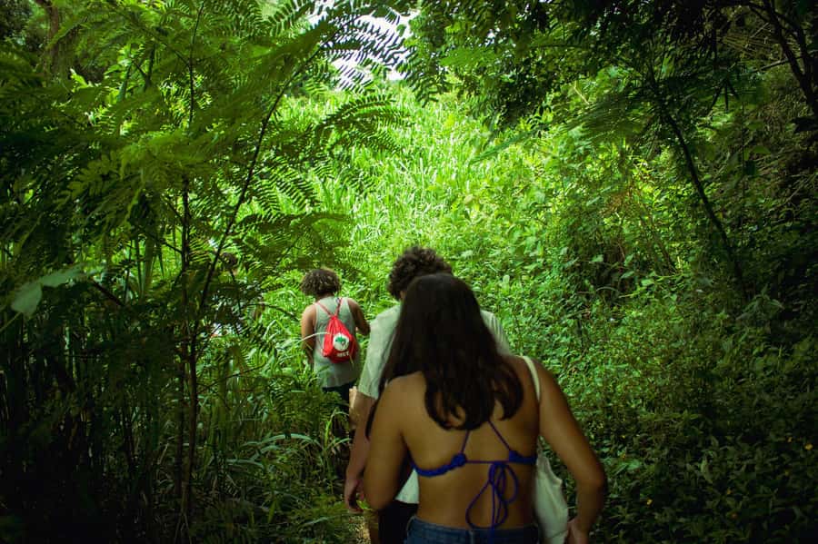 Chiang Mai: 3-Day Karen Hill Tribe Immersion with Trekking - Day 1: Market food, bamboo groves, and a forest camp