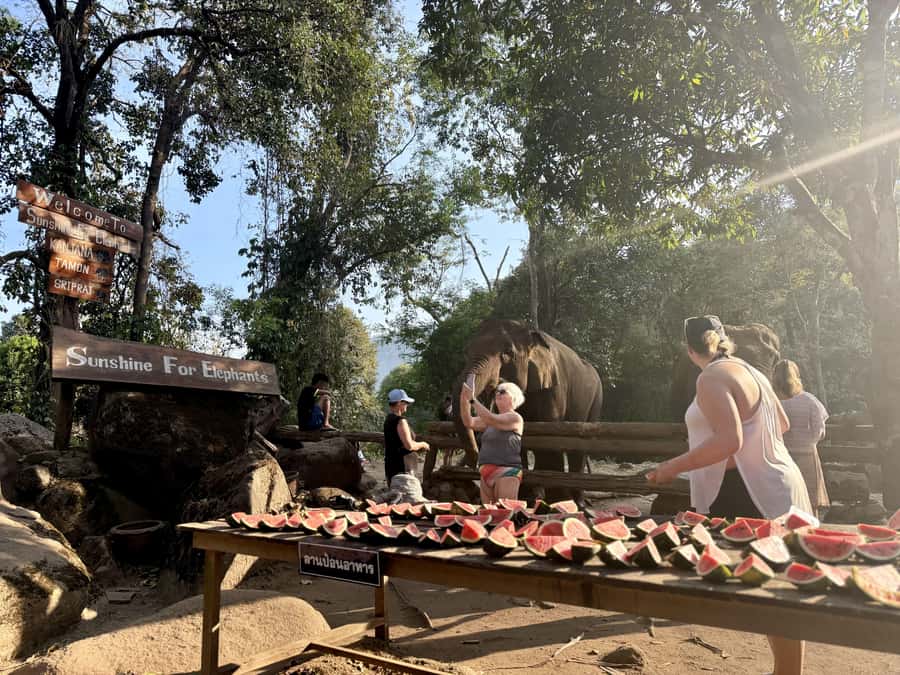 Chiang Mai Adventure: Trekking, Tubing & Waterfall Slide - Floating the Mae Taeng River near elephant areas