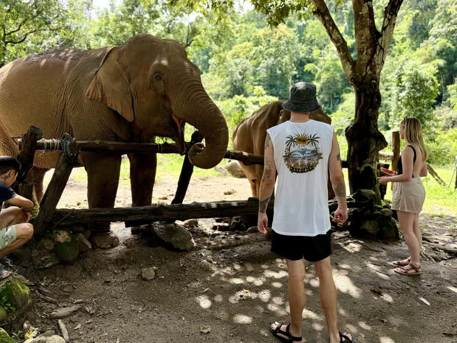 Chiang Mai Adventure: Trekking, Tubing & Waterfall Slide - Returning to the base camp