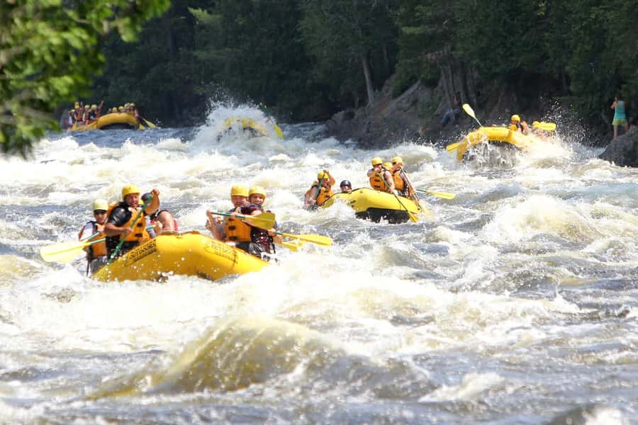 Chiang Mai ATV & White Water Rafting & Trekking to Waterfall - A full day beyond Chiang Mai