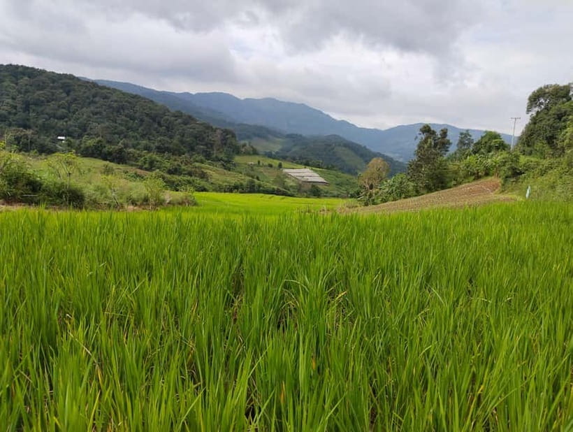 Chiang Mai Authentic Trekking - Leaving Chiang Mai for Karen country