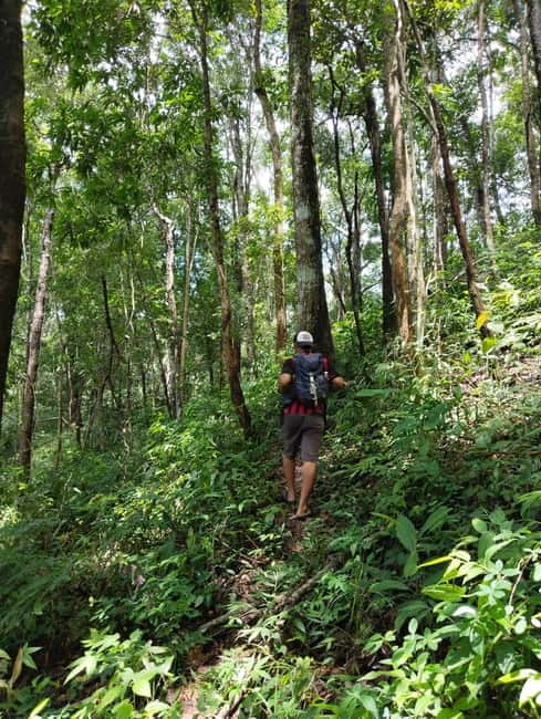 Chiang Mai Authentic Trekking - The four to five hour mountain trek