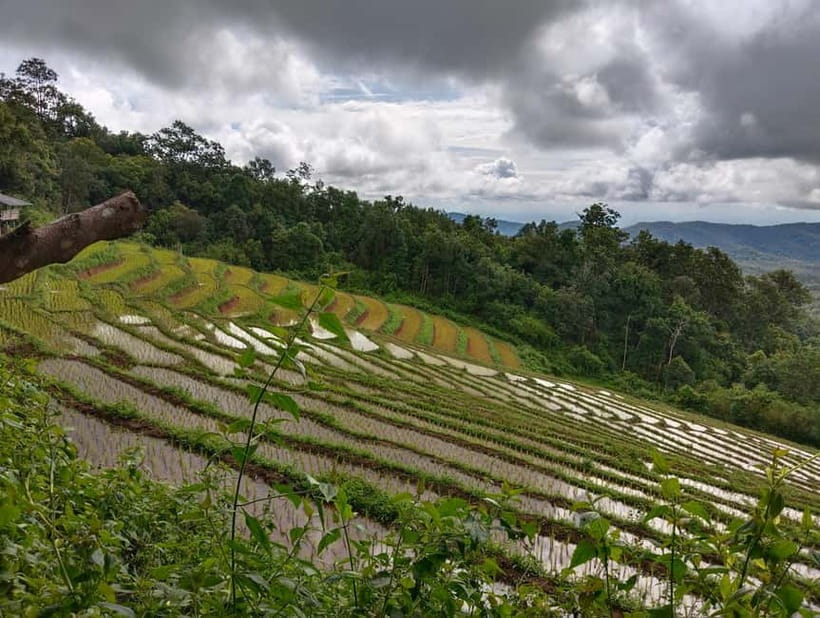 Chiang Mai Authentic Trekking - A secluded waterfall to finish the hike