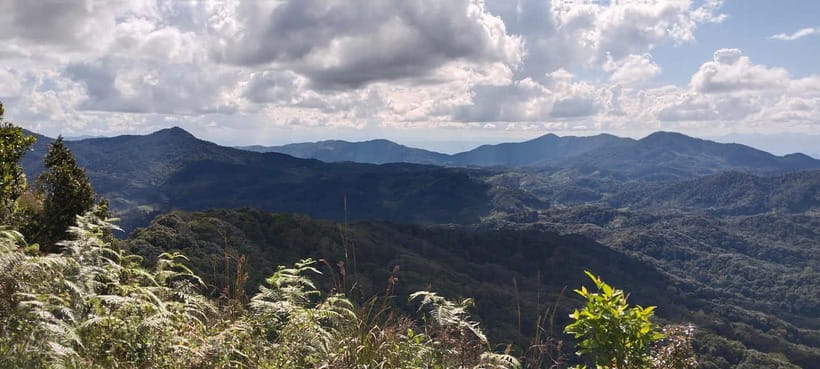 Chiang Mai Authentic Trekking - The market stop makes lunch personal