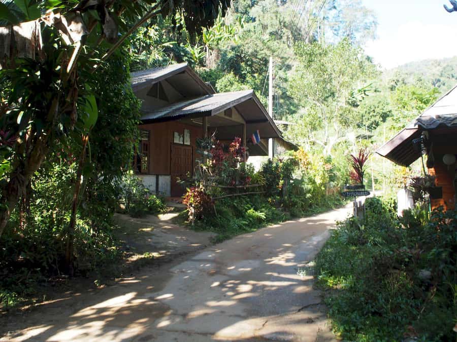 Chiang Mai: Chiang Dao Caves and Jungle Trek with Lunch - Key points to know before booking
