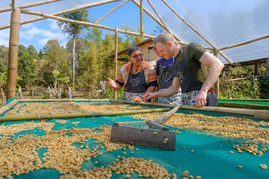 Chiang Mai Coffee Full Day Tour: Trek, Brew & Roast Journey. - The 50-minute forest walk among coffee plants