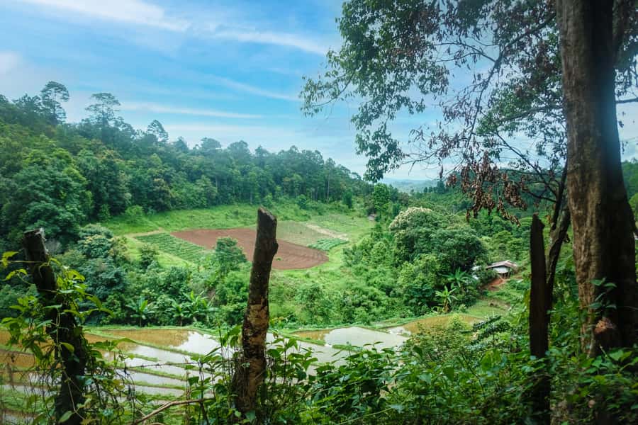 Chiang Mai Coffee Full Day Tour: Trek, Brew & Roast Journey. - Meeting the people behind the coffee