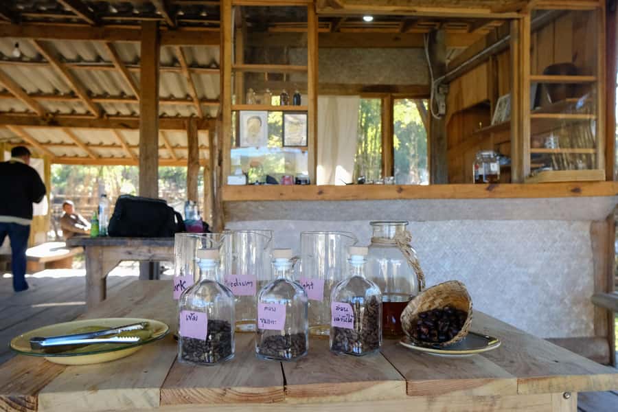 Chiang Mai Coffee Full Day Tour: Trek, Brew & Roast Journey. - Learning V60 pour-over brewing