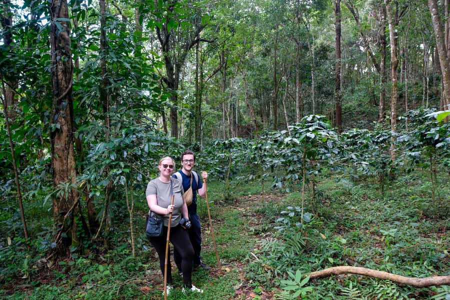 Chiang Mai Coffee Full Day Tour: Trek, Brew & Roast Journey. - The 1.5-hour drive into Chiang Mai’s highlands