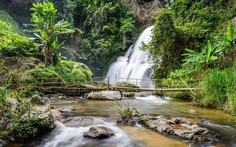Chiang Mai: Doi Inthanon National Park and Pha Dok Siew Trek - Key points to know before booking