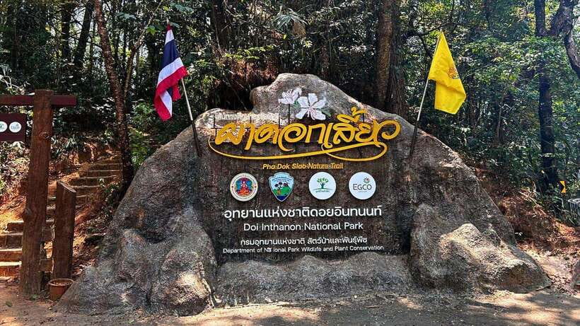 Chiang Mai: Doi Inthanon National Park and Pha Dok Siew Trek - The Twin Pagodas and their mountain gardens