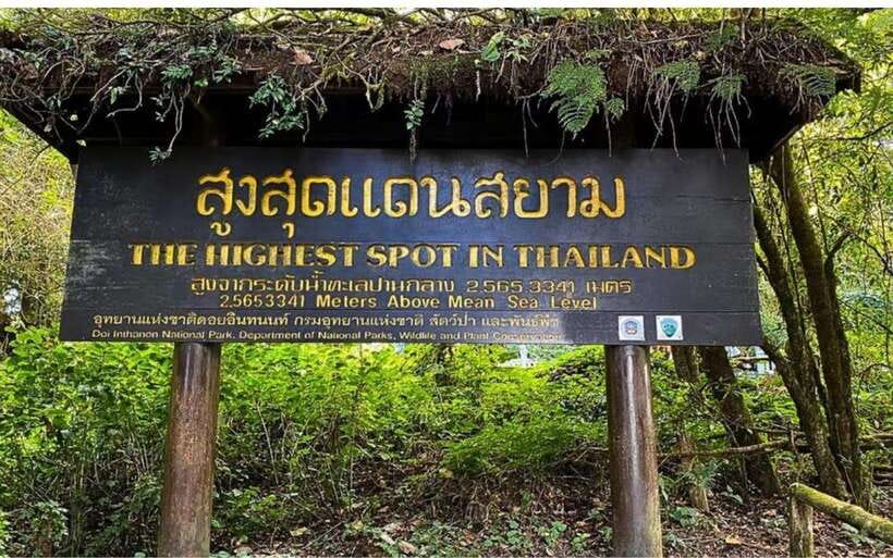 Chiang Mai: Doi Inthanon National Park and Pha Dok Siew Trek - Pha Dok Siew Trail: the best part of the day