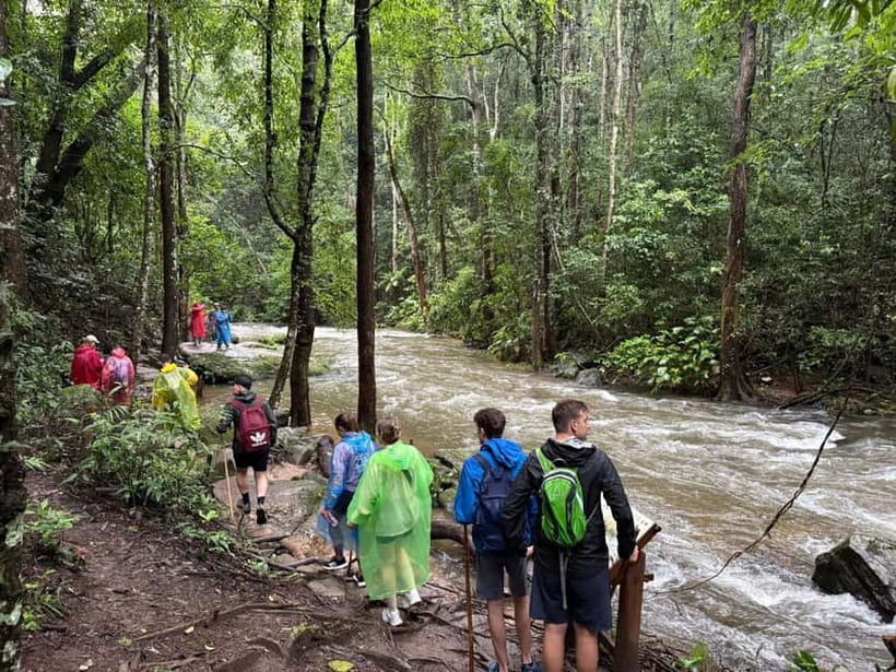 Chiang Mai: Doi Inthanon Park & 2 Hrs Trekking Pha Dok Siew - The King and Queen Pagodas above the clouds